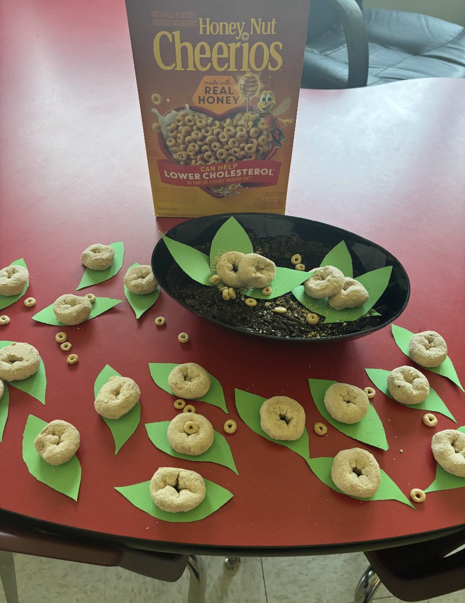 JB_OASD's tweet image. Mrs. Clark&apos;s class had a hilarious writing adventure for April Fools’ Day! 🤭🌱 They “planted” Cheerios, made predictions, and—surprise—donuts grew! 🍩✨ #AprilFoolsFun
