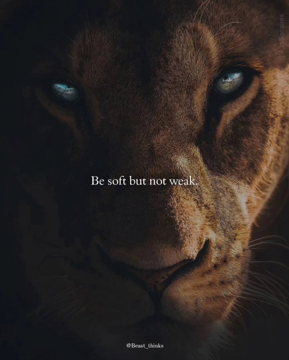 Mind Essentials (@mind_essentials) on Twitter photo 