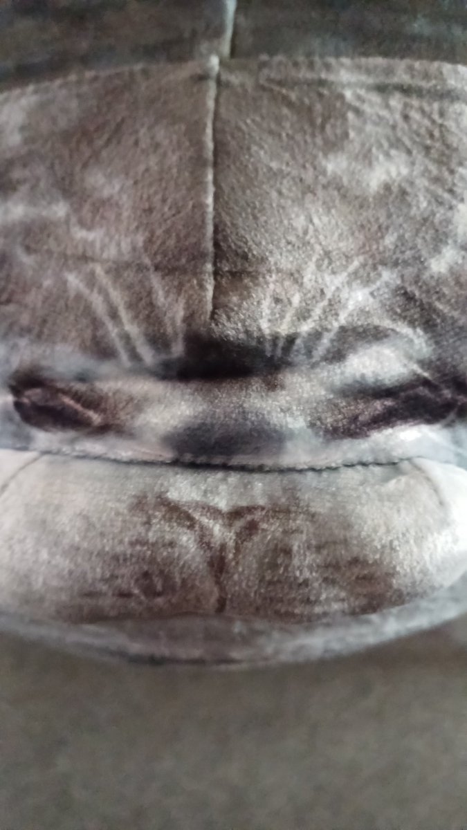 judithe1988's tweet image. I got a plush seal the other day still trying to figure out what to name my seal any ideas?