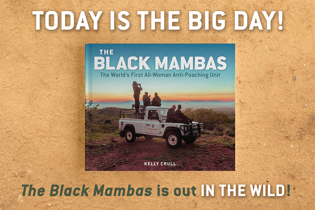 Today’s the day! 🚀 The Black Mambas is officially out in the world! 🐍💚