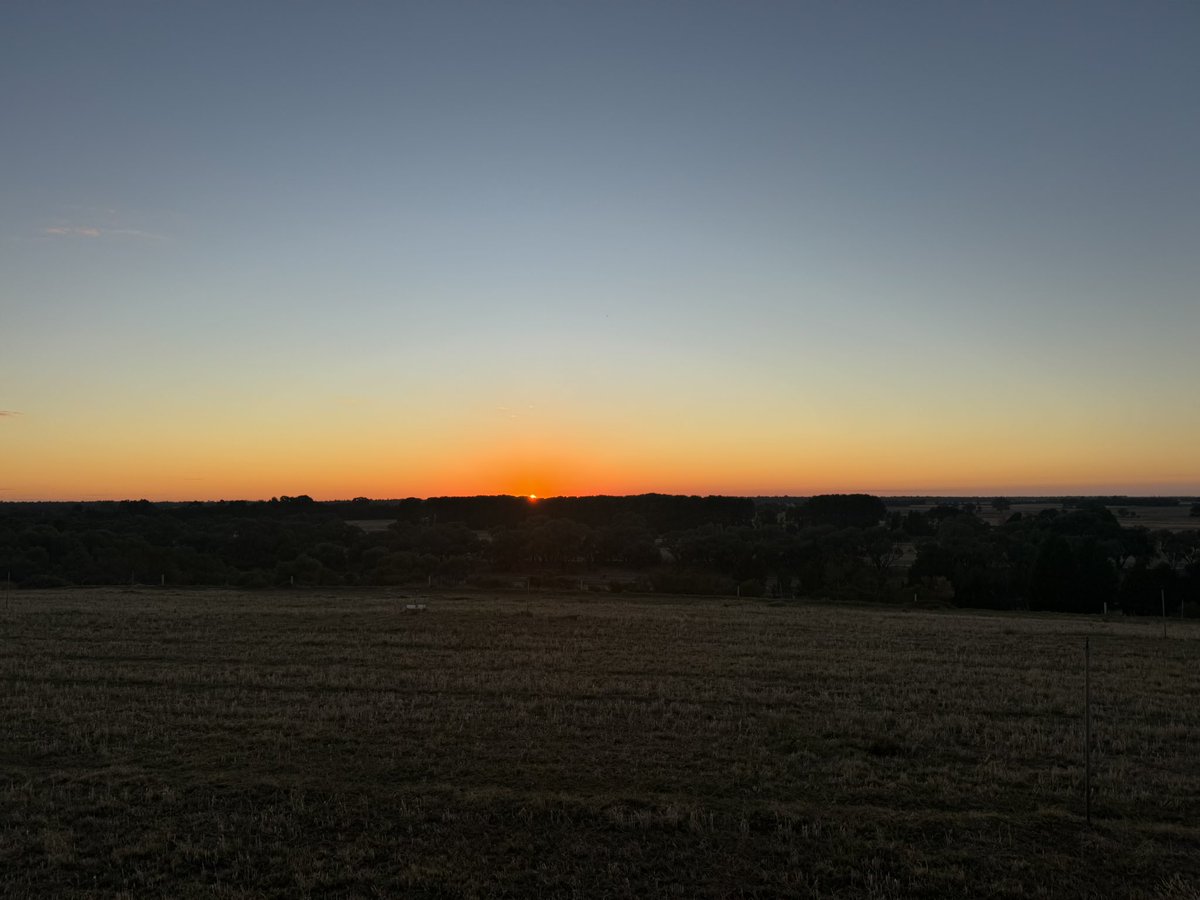 Big sky sort of day
Feel the change of season finally,little bit of dew &amp; cool starts at last.
Been a relentlessly long hot dry season for the us veg growers in the south of the country