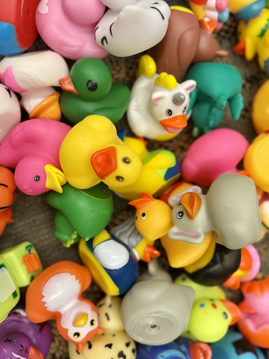Julie Hudnall (@jhudnallpe) on Twitter photo Who knew there were so many games with ducks?!?! Thanks so much <a href="/mortonmoves/">Kim Morton</a> <a href="/candypeguy/">Chip Candy</a> <a href="/HouselPhysEd/">Mark Housel</a> #physed #SHAPEBaltimore Who knew there were so many games with ducks?!?! Thanks so much <a href="/mortonmoves/">Kim Morton</a> <a href="/candypeguy/">Chip Candy</a> <a href="/HouselPhysEd/">Mark Housel</a> #physed #SHAPEBaltimore