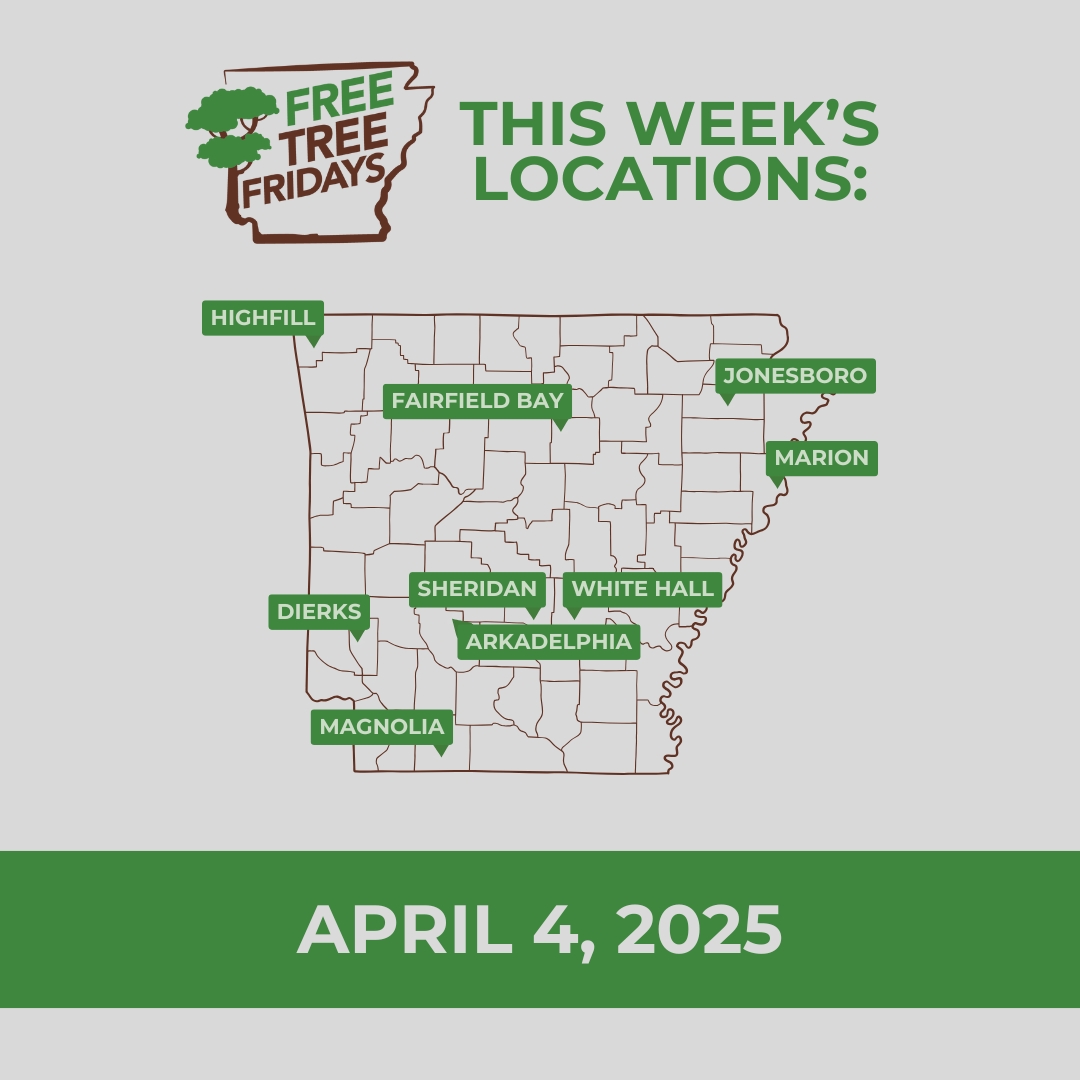 Free Tree Fridays continue this week! Due to the weather forecast, we will provide updates on any cancellations Friday morning. All giveaways will run from 11 a.m. to 1 p.m., or until all seedlings are handed out.

Learn more: agriculture.arkansas.gov/forestry/urban…