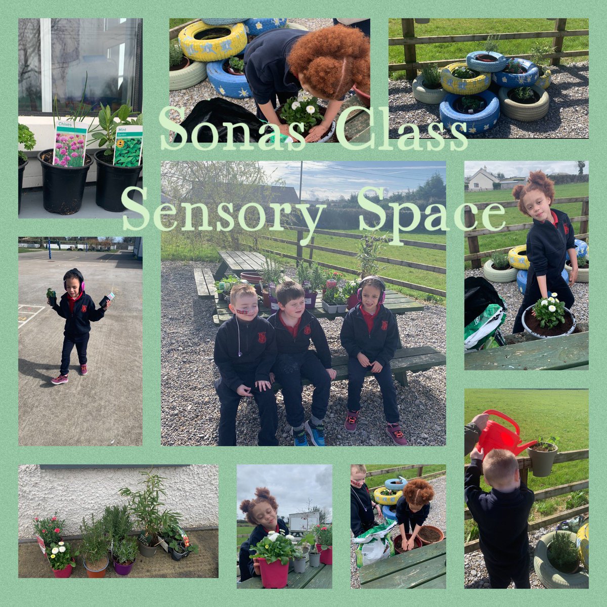 Sensory Spaces  🌱 : Well done to our super Sonas Class pupils who have planted a lovely sensory area in our ‘Outdoor Classroom’, with a section for each of the five senses😀. I think that you will agree that they did a fantastic job👏. 
Well done to Miss. Fisher and our