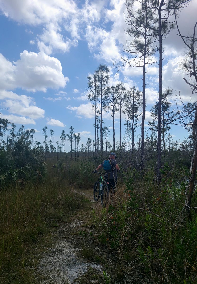 UpandGo23's tweet photo. Moody clouds over the Everglades today 🚲🚲 https://t.co/j8ehvHXdUK