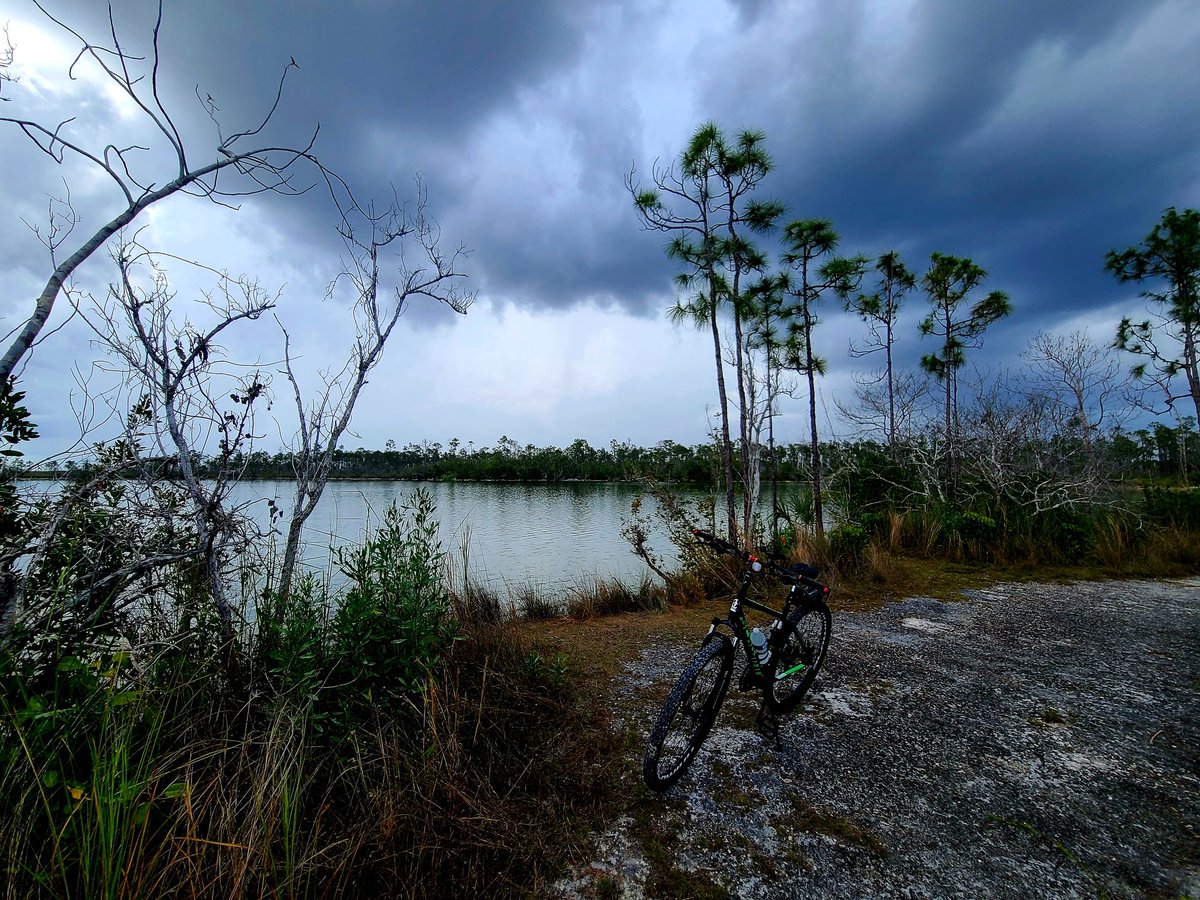 UpandGo23's tweet photo. Moody clouds over the Everglades today 🚲🚲 https://t.co/j8ehvHXdUK
