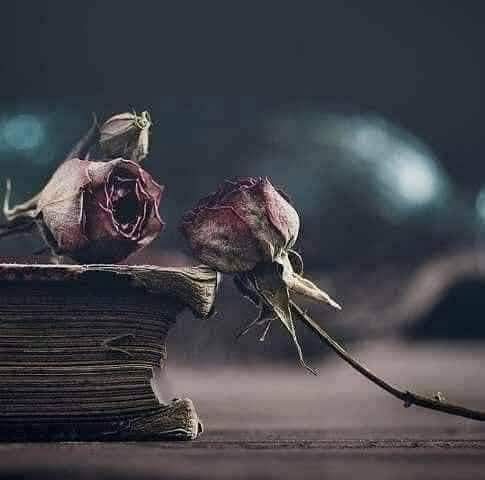 NaserAlkhaldi98's tweet photo. ومازلت لا أدري أيهما يؤلمني أكثر الأشياء التي أفعلها رغماً عن قلبي , أم ألأشياء التي يفعلها قلبي رغماً عني  !! https://t.co/Ge70oBW9Wq