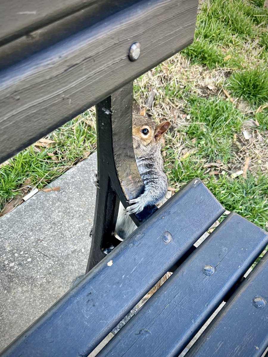 Agnès Bun 黃瑩燕 tweet media