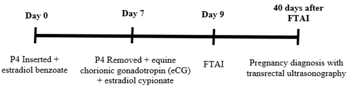 🌿🐂 New Research! 📖

"Effect of Supplementation on the Productive and Reproductive Performance of Nellore Heifers Grazing Mombasa Grass Pasture in Different Seasons" 

By Anderson Lopes Pereira et al.

🔗mdpi.com/2813-3463/4/1/9

#CattleNutrition #GrazingManagement  #Livestock
