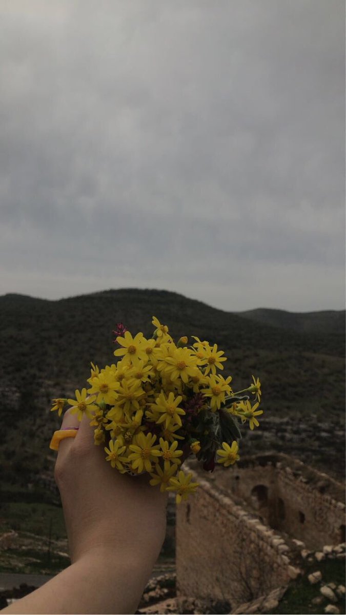 Ezoli_7's tweet photo. Baharın fısıltıları gördükçe mutlu oluyorum 🌼 https://t.co/PkUtEIepQL