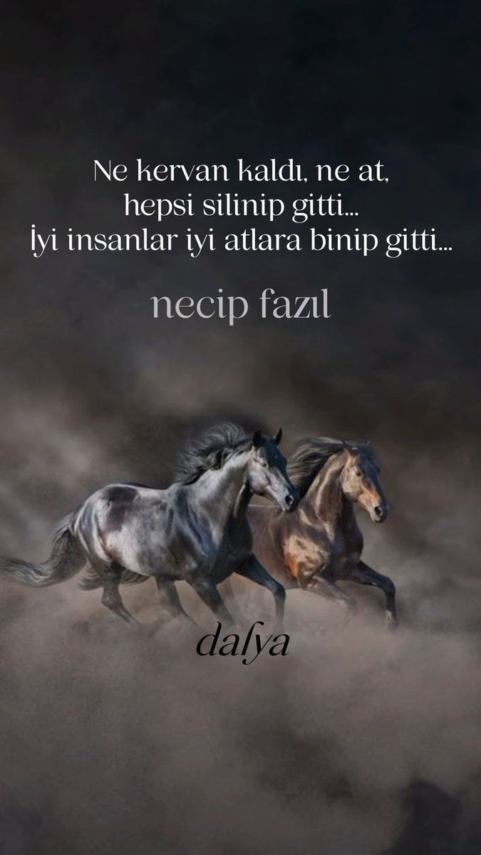 MAHMUTGEVHER's tweet photo. https://t.co/zeRARP9Qws