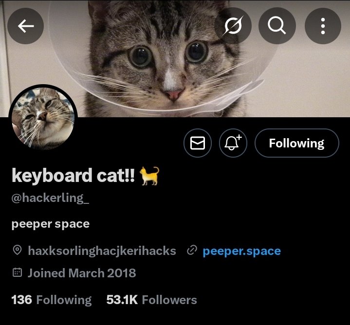 eimishii's tweet image. bro  did  peeper  hack  you  that&apos;s  crazy 😭#hackerling