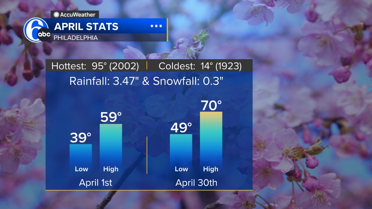 Cecily Tynan tweet media