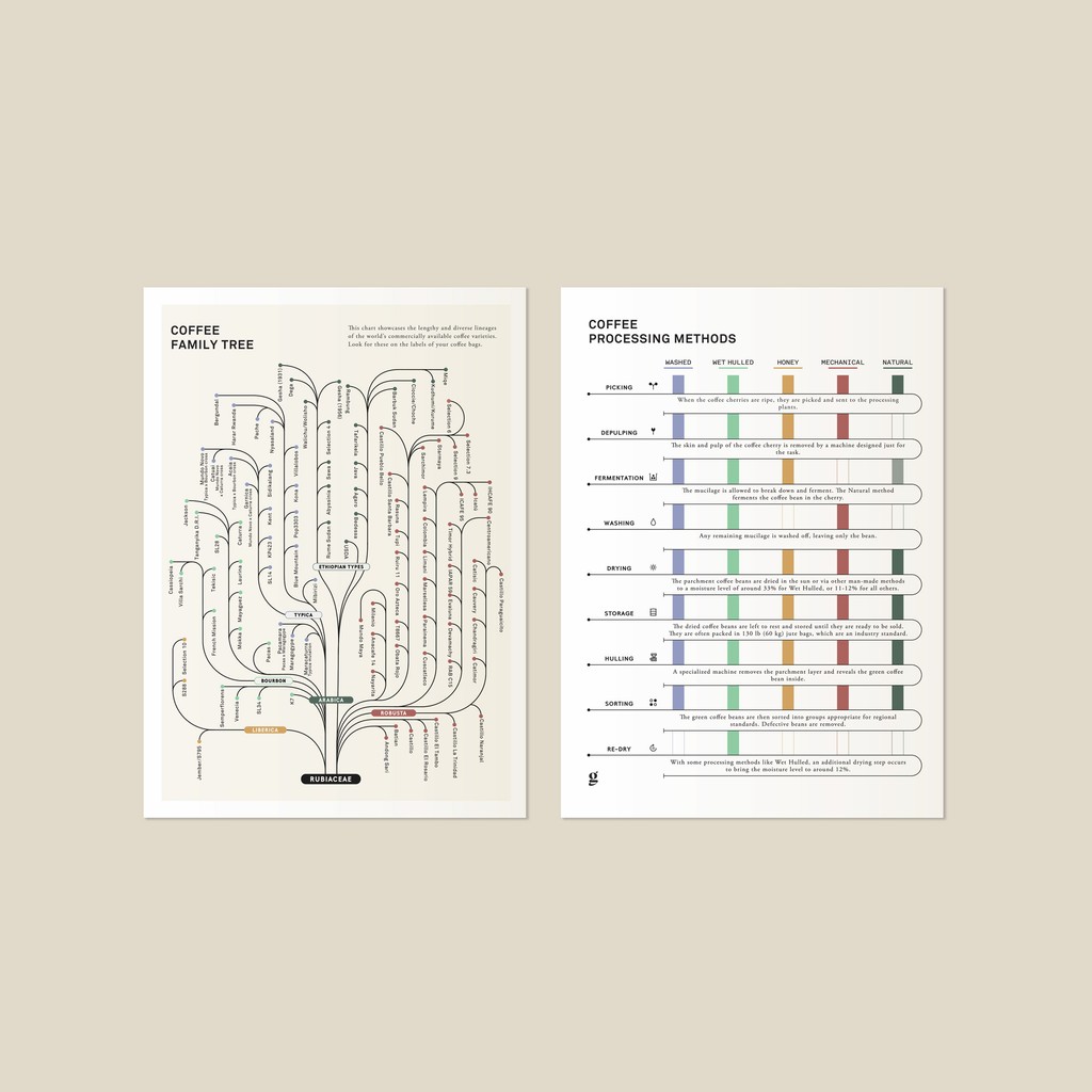 gldleaf's tweet image. Take a gander at the cards that will turn you from coffee lover to expert 😎⁠ The Coffee Reference Cards present detailed information on key factors related to coffee production, evaluation, and roasting in a simple and easily digestible fashion. ⁠

--&amp;gt; l8r.it/I9eb