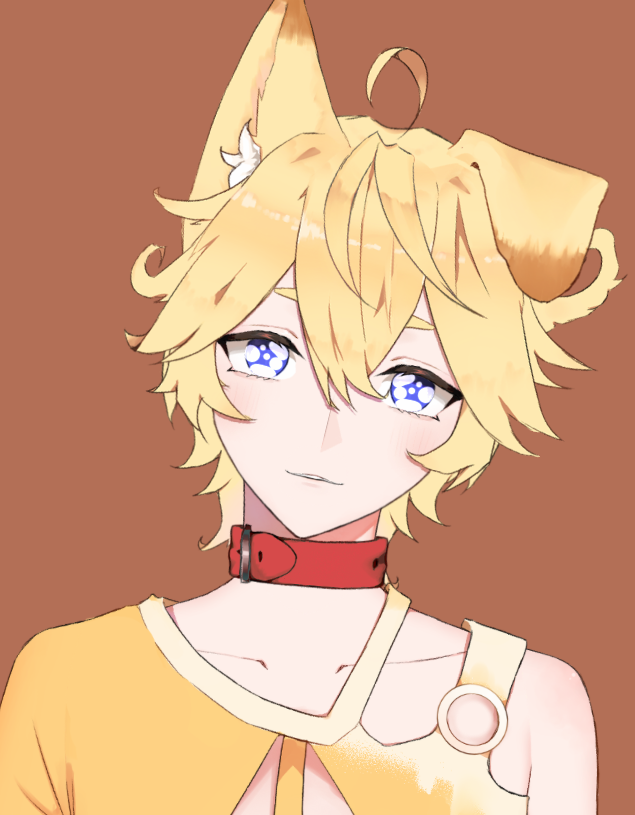 ✨Otaka Seboza✨🐾 tweet media