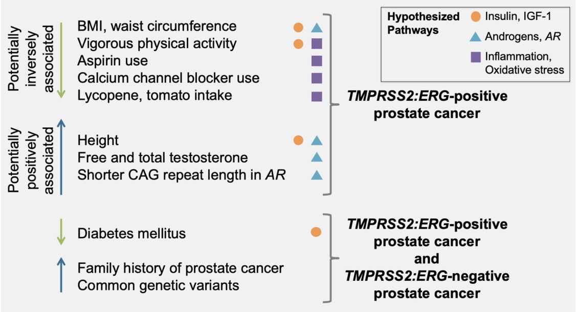 UroToday.com (@urotoday) on Twitter photo Etiology of #ProstateCancer with the TMPRSS2:ERG fusion: a systematic review of risk factors. #AuthorCommentary on UroToday > bit.ly/3XGrMFD <a href="/McGrath_CB/">Colleen McGrath</a> <a href="/AlainaShreves/">Alaina Shreves</a> <a href="/CPernar/">Claire Pernar</a> <a href="/LotanLab/">Tamara Lotan, MD</a> <a href="/IntJCanc/">International Journal of Cancer</a> Etiology of #ProstateCancer with the TMPRSS2:ERG fusion: a systematic review of risk factors. #AuthorCommentary on UroToday > bit.ly/3XGrMFD <a href="/McGrath_CB/">Colleen McGrath</a> <a href="/AlainaShreves/">Alaina Shreves</a> <a href="/CPernar/">Claire Pernar</a> <a href="/LotanLab/">Tamara Lotan, MD</a> <a href="/IntJCanc/">International Journal of Cancer</a>