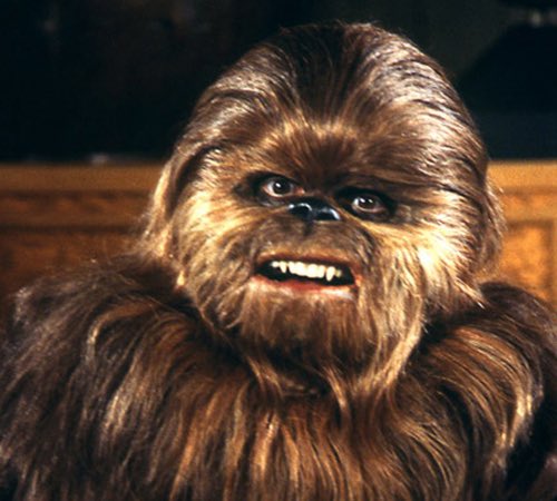 Patty Maloney, who played Chewbacca’s son Lumpy in The Star Wars Holiday Special, has passed away at the age of 89. May the Force be with you always 🤎