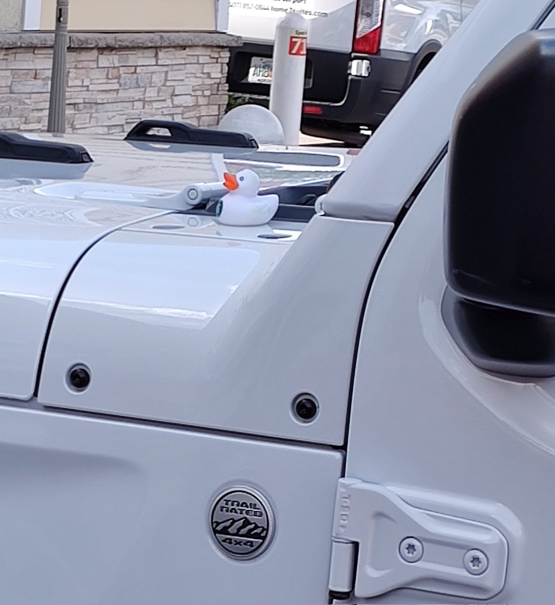 RedWolf_19's tweet image. #Ducked 🤍

#Tuesday 
#Jeeplife