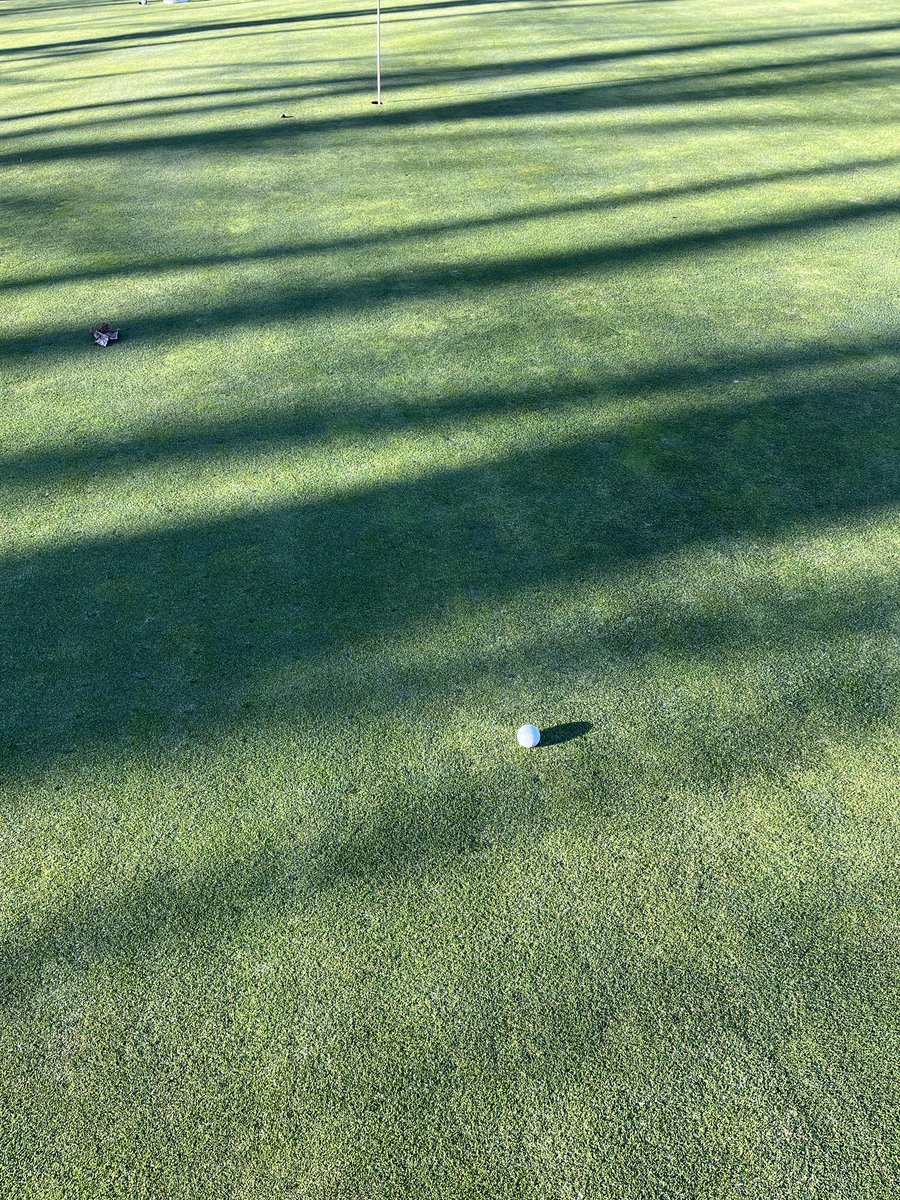 CruzzzzControl's tweet photo. Am I sinking this for bird? https://t.co/TU8IvQt6Da