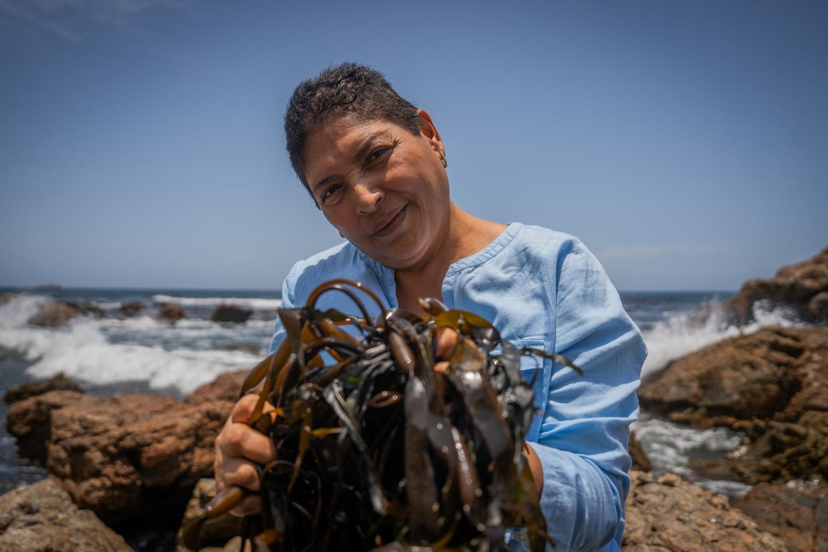 From Peru to Yemen, Maldives to Chad - meet 4 women who are charting a new course in the fishing industry.

Breaking barriers, leading change &amp; securing livelihoods - their resilience is transforming an entire sector. 

go.undp.org/3bJ