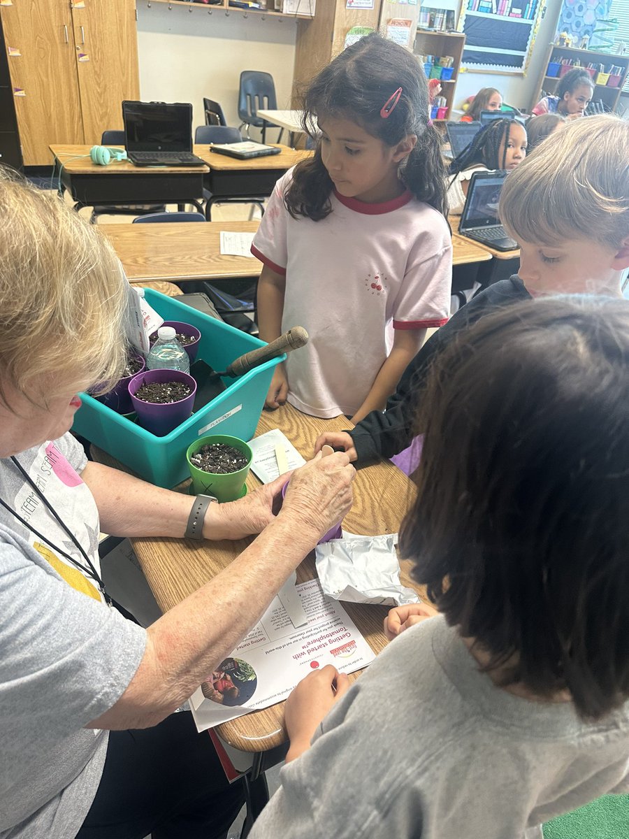 Huge thanks to Ms. Marilyn for helping us plant our Tomatosphere seeds today! Our scientists are excited to watch them grow and uncover the mystery. We couldn’t have done it without you! 🍅🧑‍🔬🌱<a href="/ms_r_jackson/">Rhonda Jackson</a> <a href="/McraeAllie/">Allie McRae</a> <a href="/TanyaMcDaniel15/">Tanya McDaniel</a> <a href="/msatrimble/">Ms.Trimble</a> <a href="/drjtoney/">𝔻𝕣. 𝕁𝕖𝕟𝕟𝕚𝕗𝕖𝕣 𝕋𝕠𝕟𝕖𝕪💚🌳🐉</a> <a href="/sarapruett5/">Sara Pruett</a>