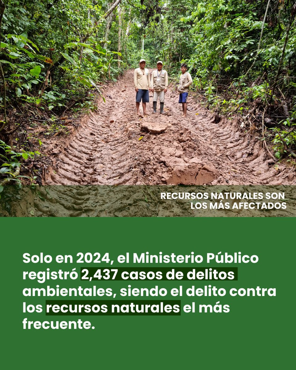 ProPurús tweet media