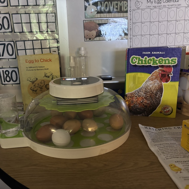 HumbleISD_BBE's tweet image. Chicks in 1st grade! 🥚🐣#incubator #lifecycle #whichcamefirst