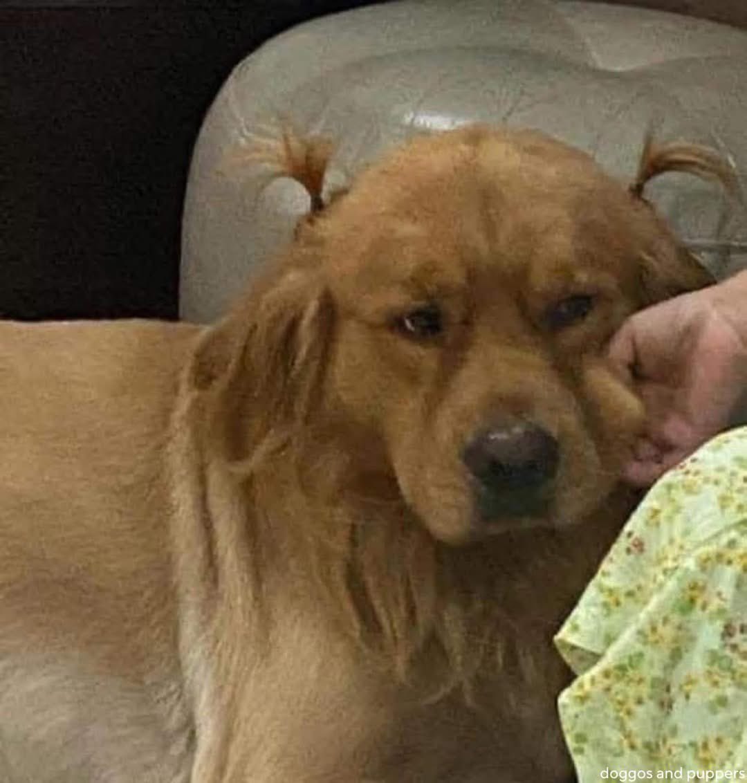 ถ้าไม่หอม ก็ไม่ต้องมาจับ