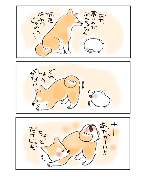わんじいとぶんちょ(再掲) 