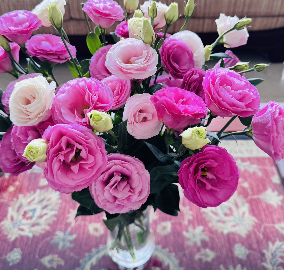 Pinnk_Lotus's tweet photo. 🌸💕
#PinkLotuspics https://t.co/CsZvY3sAG4