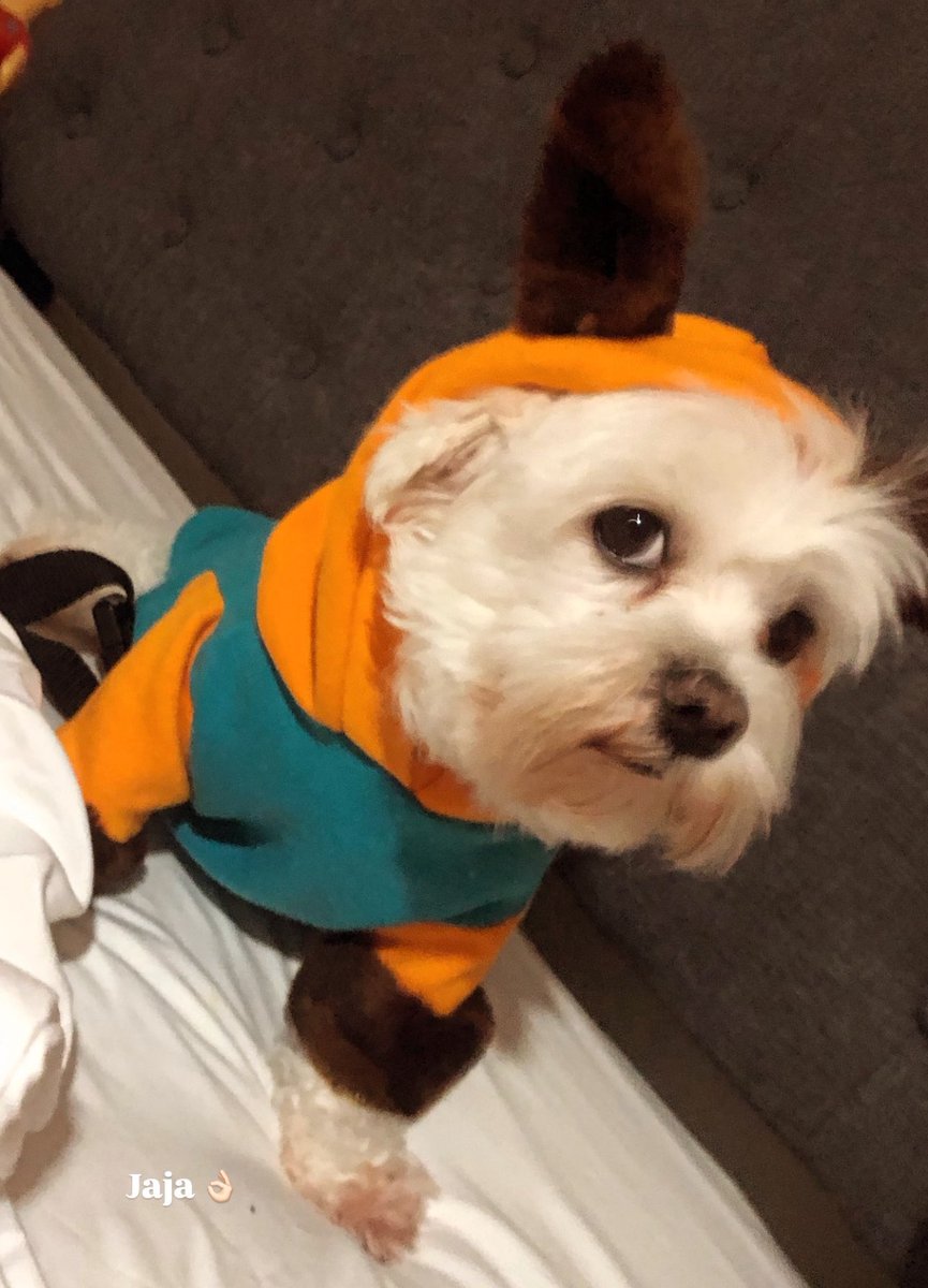 Cuando mi amix y yo estamos criticando y justo pasa el motivo de la crítica 🤣🤣🤣🤣