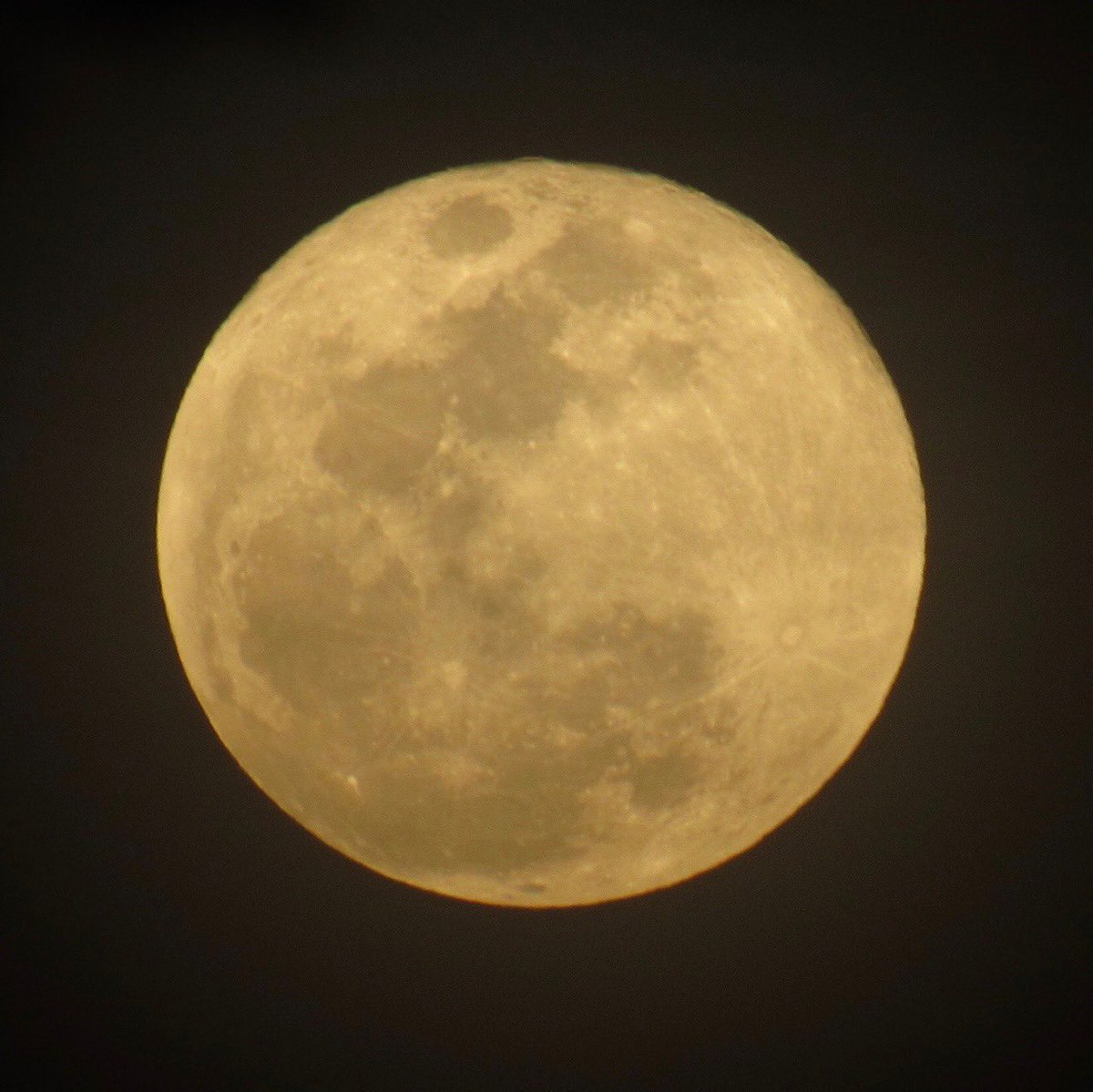 moon lover