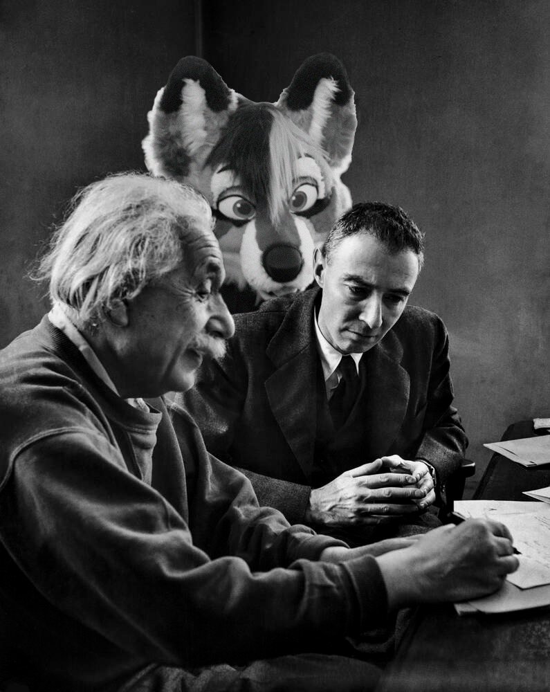 We hope you’ve enjoyed today’s Furries at Berkeley Furry Facts™!

Thank you to <a href="/EYE_SEE_IRIS/">IRIS</a> for digging up real photos from our archives 👍