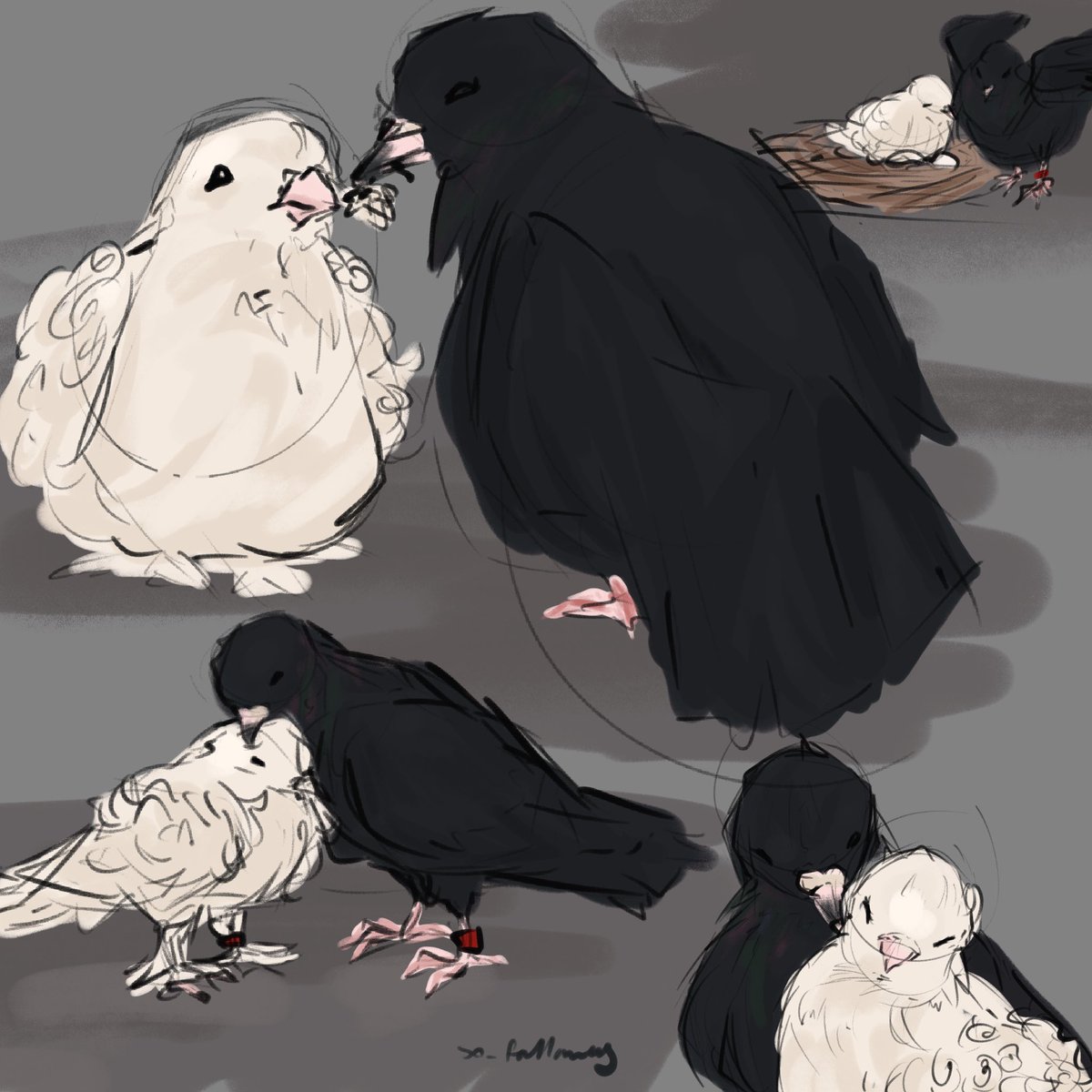 so_fallaway's tweet photo. i needed pigeon hualian ヾ(´〇｀)ﾉ https://t.co/FeCGIxGpWX