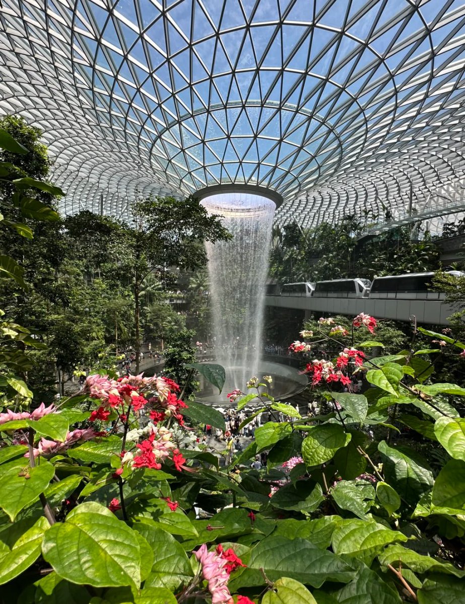 自然と近代建築が融合する空間で、世界でも珍しい屋内滝を体感しよう