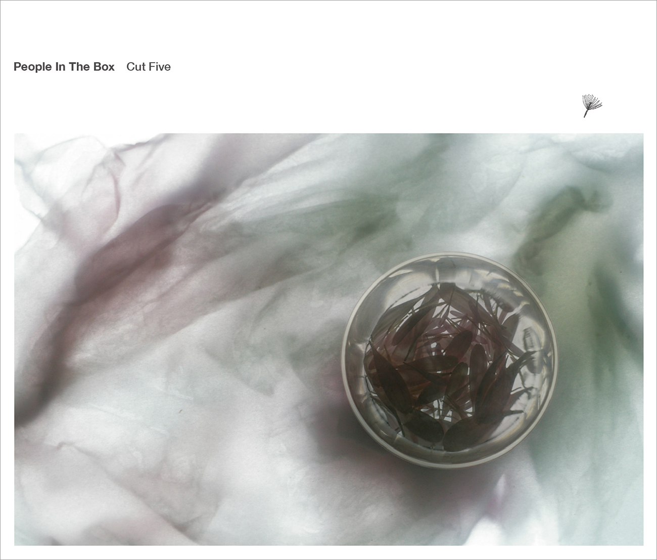 People in the box 波多野裕文 CDとDVD セット People in the box