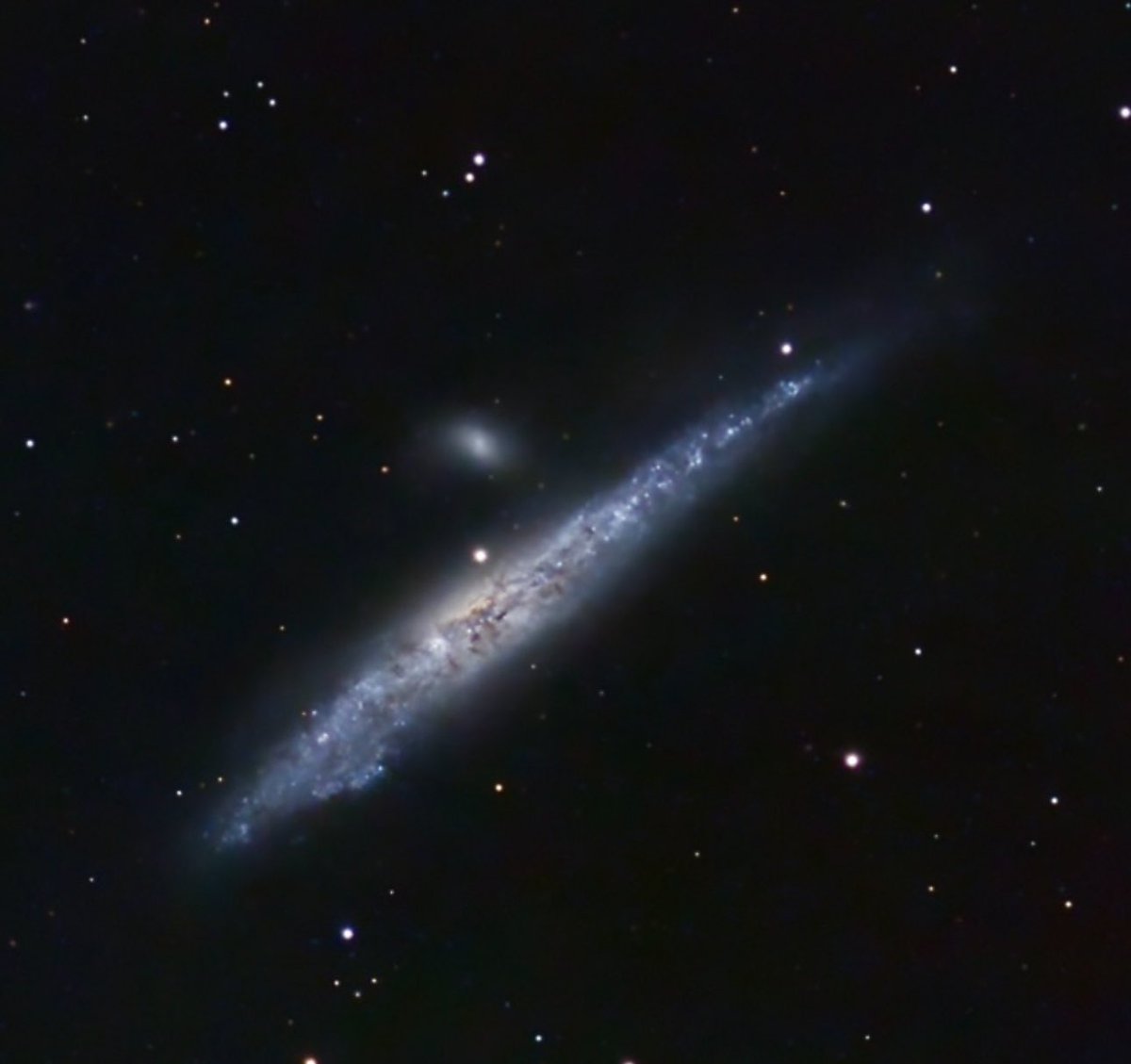 NGC 4631, the Whale Galaxy. 983 pictures at 10 seconds each taken with the Celestron Origin telescope. Pictures stacked and processed in PixInsight.