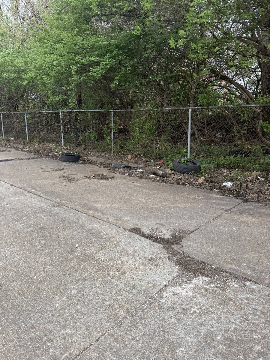 Hi <a href="/stlcsb/">Citizens' Svc Bureau</a>, some tires have been dumped along Hodiamont Tracks between Belt and Union. The address approximately backs up to 5409 Cabanne and 5419 Cabanne if that’s helpful.