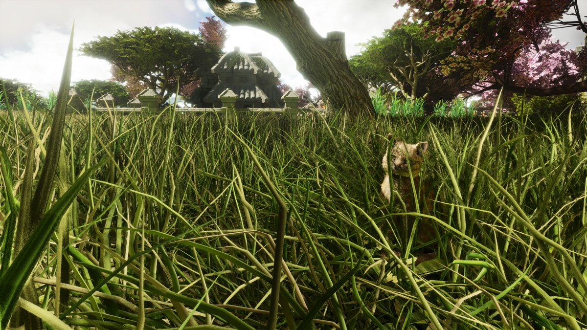sicco0803's tweet photo. It looks like the cat is using a shared spawner and it's also already spawning on #Amissa. Can't confirm on #TheVolcano yet.
The little guy is so cute, thank you @survivetheark ๐
#playARK https://t.co/7mmSVpUsFY