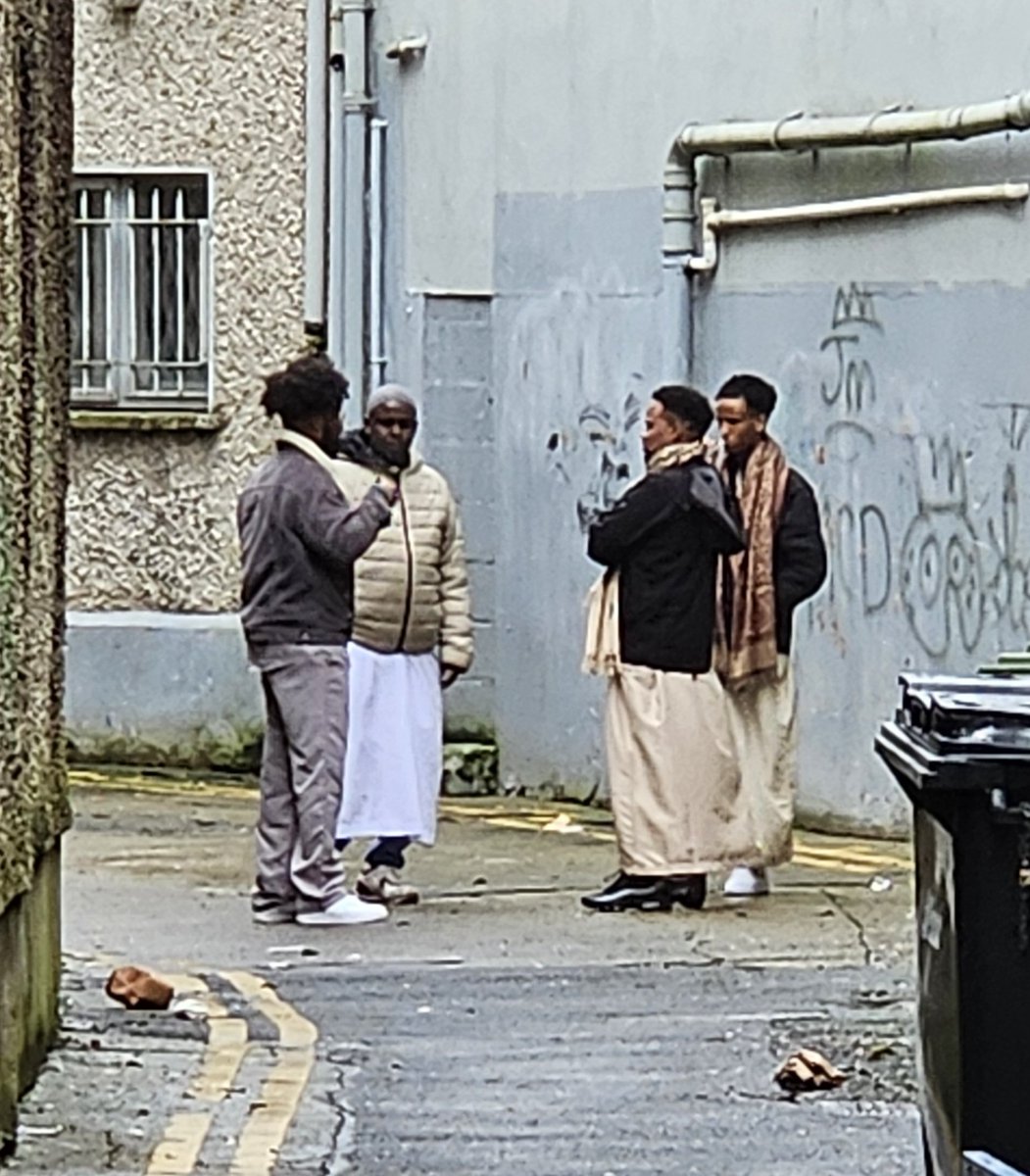 MichaeloKeeffe tweet media