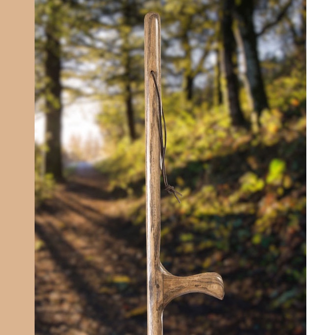 Brazos Walking Sticks tweet media