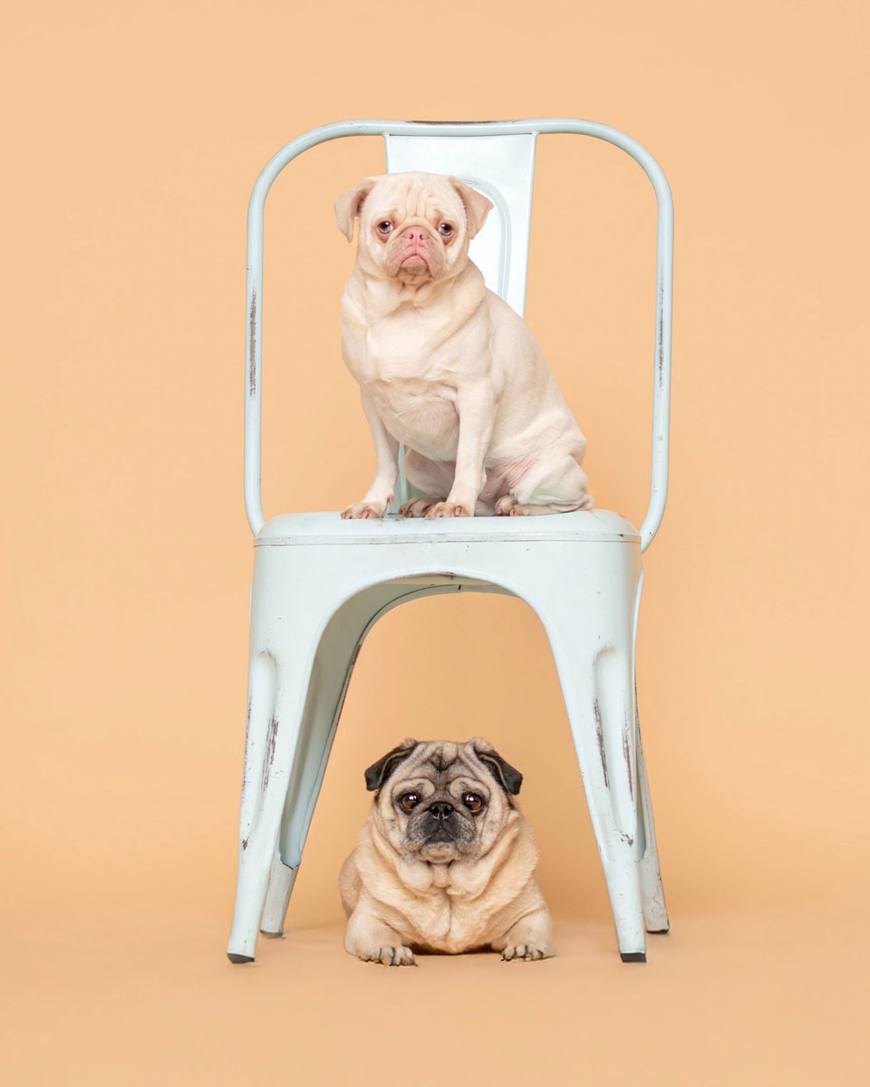 Yael Miller tweet media