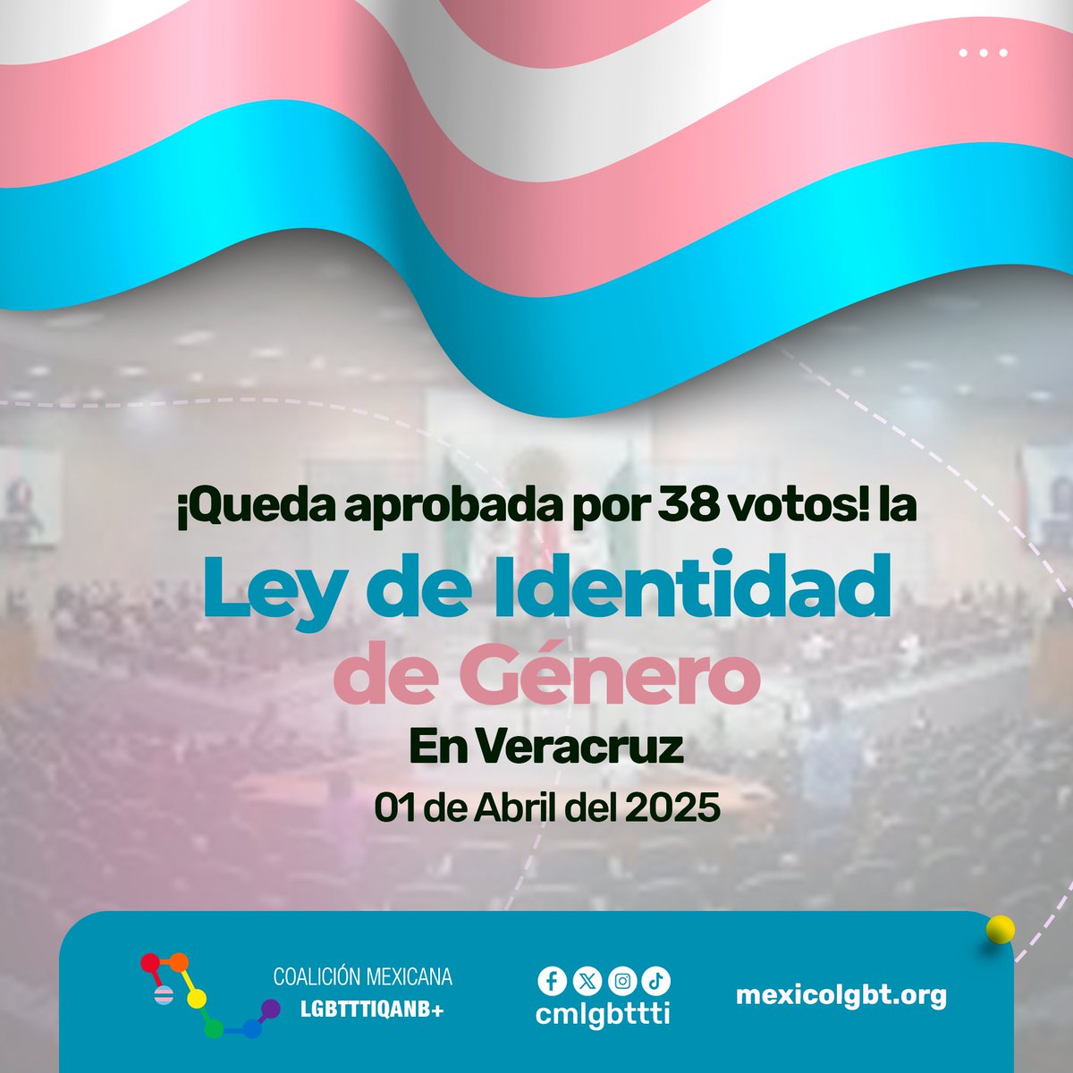 🏳️‍⚧️ ¡VICTORIA EN VERACRUZ!
⚖️ Con 38 votos a favor, el Congreso aprobó la Ley de Identidad de Género, garantizando derechos para personas trans y no binarias.

#IdentidadDeGénero #DerechosTrans #CoaliciónMexicanaLGBTTTI+