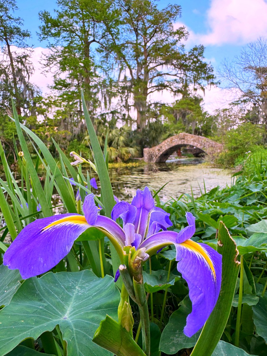 David Nola tweet media