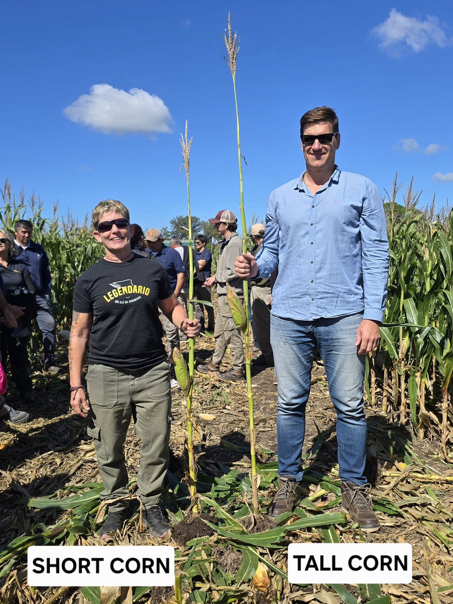 ScandoloNicolas's tweet image. Hoy visitamos ensayos del Sistema Preceon en Pergamino. Fue una gran experiencia vivida junto al equipo técnico de Bayer para seguir aprendiendo sobre esta tecnología fabulosa que pronto estará disponible. Gracias a todo el equipo que hizo posible esta gira.
#ShortCorn #Preceon