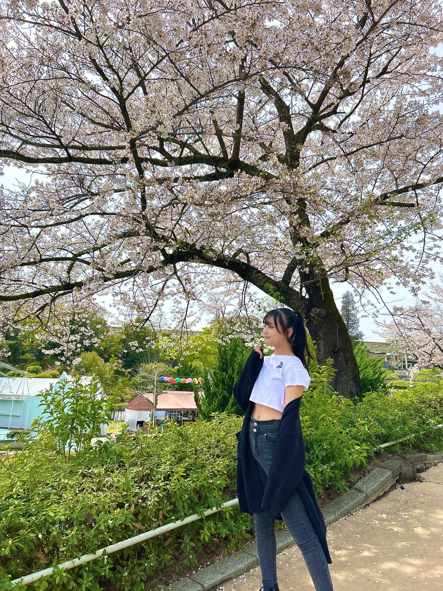 おはみ💠 これは去年の写真〜📷 🌸と〜今年も早く撮りにいきたいーー