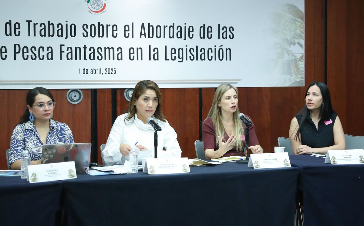 senadomexicano's tweet photo. 📷 En la Comisión de Pesca y Acuacultura se planteó el interés de impulsar reformas que prevengan y recuperen las herramientas de pesca abandonadas, las cuales se convierten en trampas mortales para la fauna marina.

https://t.co/XFxdSDrGq3 https://t.co/LAJWeCz8ns