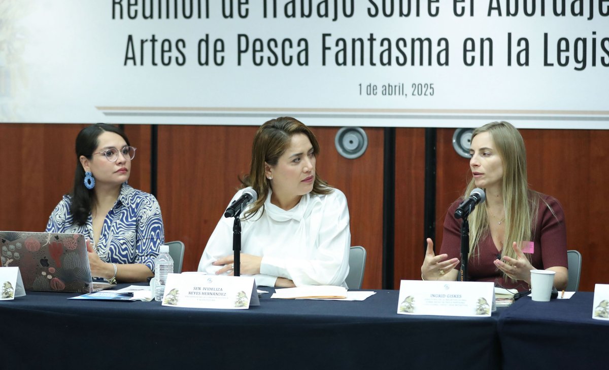 senadomexicano's tweet photo. 📷 En la Comisión de Pesca y Acuacultura se planteó el interés de impulsar reformas que prevengan y recuperen las herramientas de pesca abandonadas, las cuales se convierten en trampas mortales para la fauna marina.

https://t.co/XFxdSDrGq3 https://t.co/LAJWeCz8ns