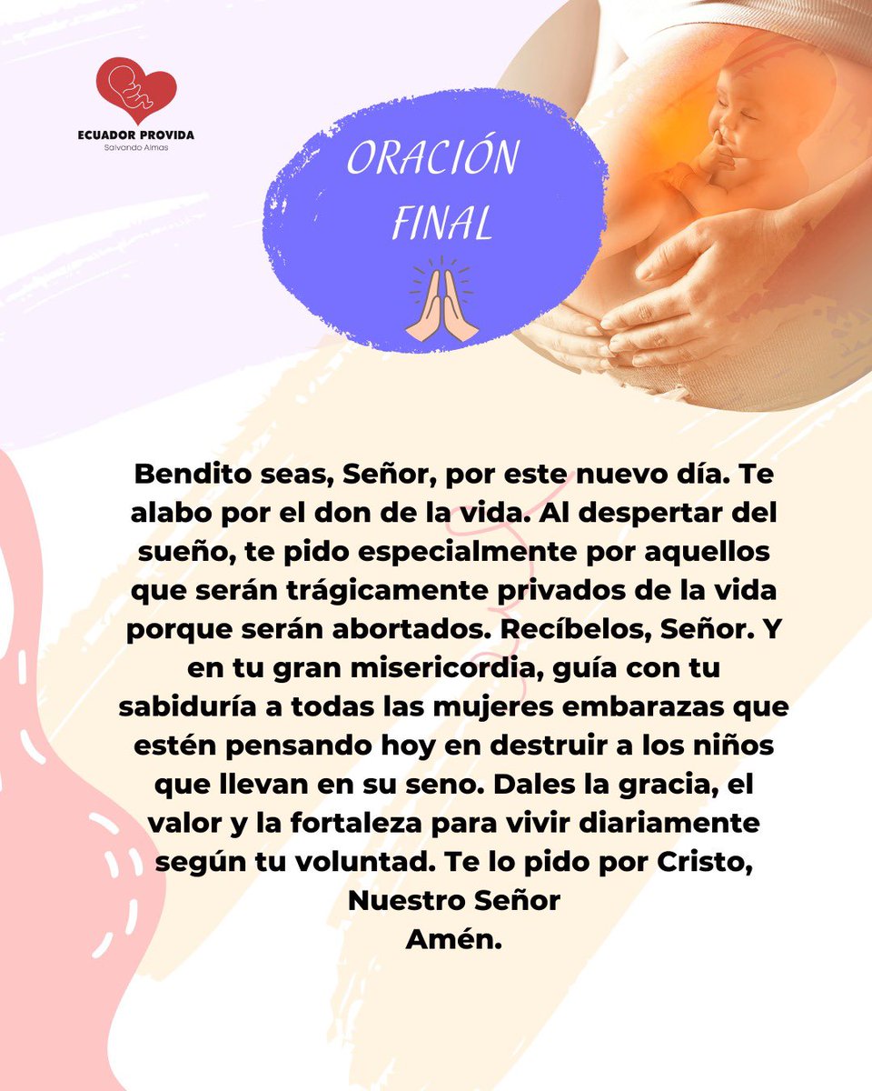 Ecuador Provida tweet media