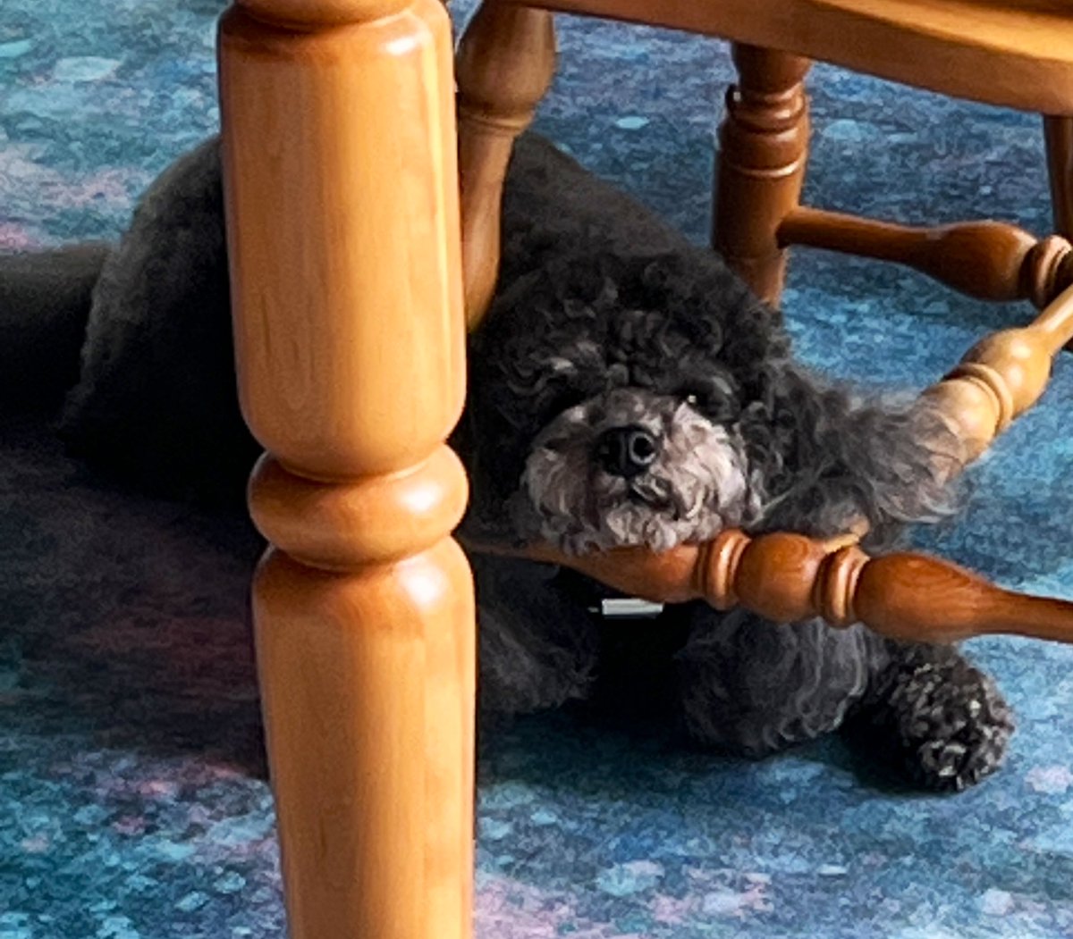 Today’s stream is gonna be some mixing/producing and editing some rock music for a local band Opium! Starting at 5pm pacific.